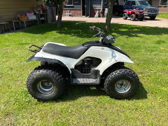 Yamaha breeze quad - afbeelding 7 van  12