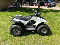Yamaha breeze quad - afbeelding 7 van  12
