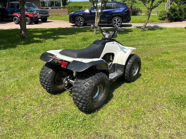 Yamaha breeze quad - afbeelding 8 van  12