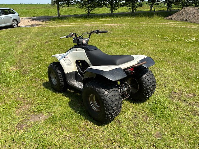 Yamaha breeze quad - afbeelding 9 van  12