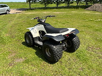 Yamaha breeze quad - afbeelding 9 van  12