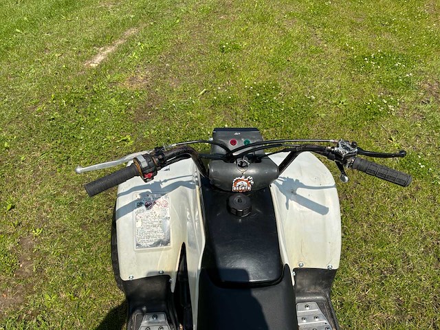Yamaha breeze quad - afbeelding 11 van  12