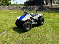 Yamaha breeze quad - afbeelding 1 van  11