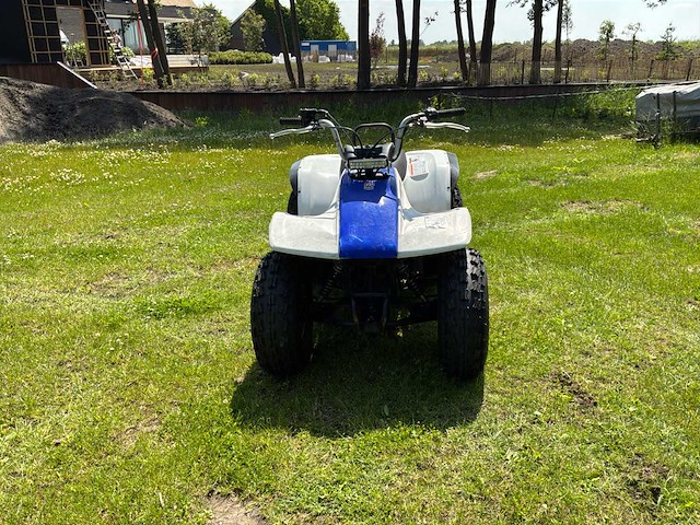 Yamaha breeze quad - afbeelding 4 van  11