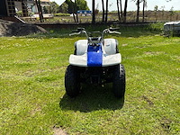 Yamaha breeze quad - afbeelding 4 van  11