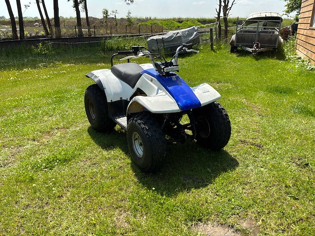 Yamaha breeze quad - afbeelding 5 van  11