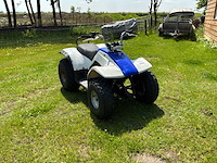 Yamaha breeze quad - afbeelding 5 van  11
