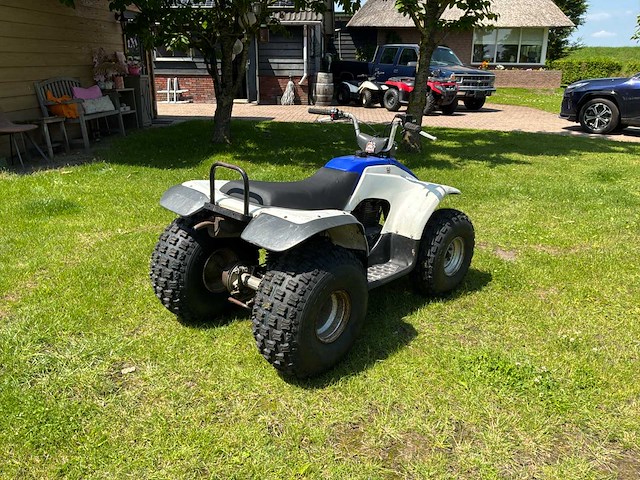 Yamaha breeze quad - afbeelding 7 van  11