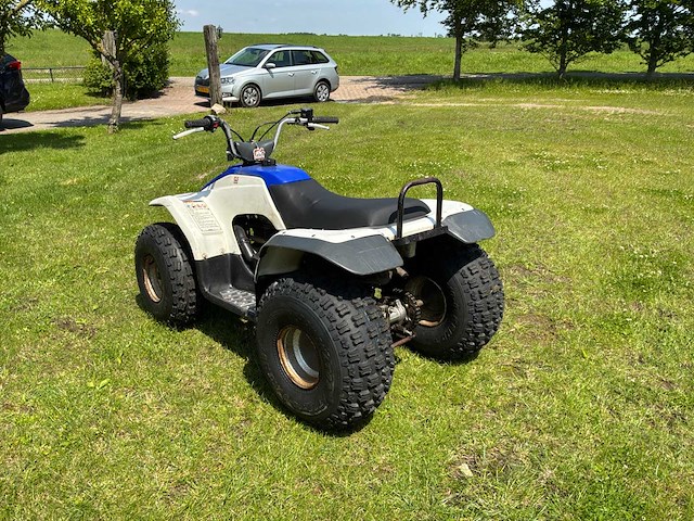 Yamaha breeze quad - afbeelding 8 van  11