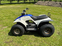 Yamaha breeze quad - afbeelding 9 van  11