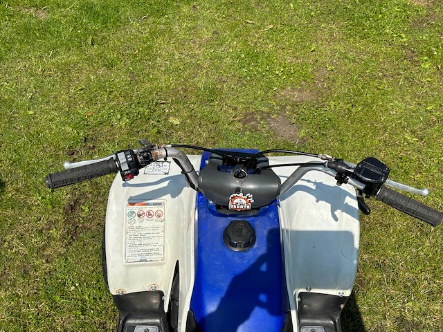 Yamaha breeze quad - afbeelding 10 van  11