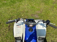 Yamaha breeze quad - afbeelding 10 van  11
