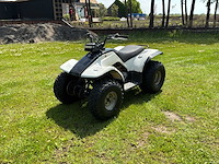 Yamaha breeze quad - afbeelding 1 van  7