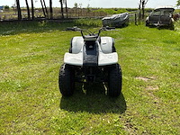 Yamaha breeze quad - afbeelding 4 van  7