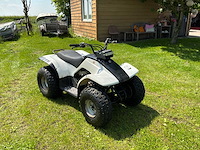Yamaha breeze quad - afbeelding 5 van  7