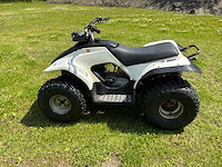 Yamaha breeze quad - afbeelding 6 van  7