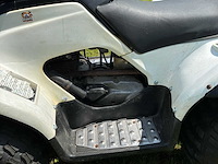 Yamaha breeze quad - afbeelding 7 van  7