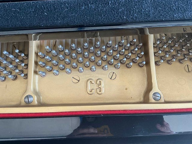 Yamaha c3 vleugel - afbeelding 11 van  19