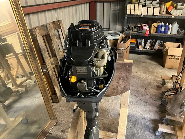 Yamaha ft9.9de buitenboordmotor - afbeelding 13 van  14
