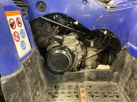 Yamaha grizzly 350 quad 4x4 - afbeelding 4 van  16