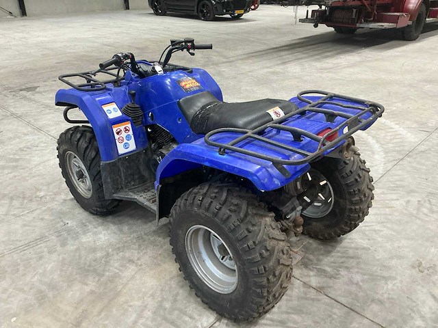 Yamaha grizzly 350 quad 4x4 - afbeelding 14 van  16