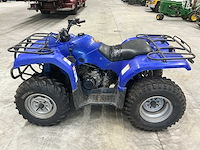 Yamaha grizzly 350 quad 4x4 - afbeelding 15 van  16