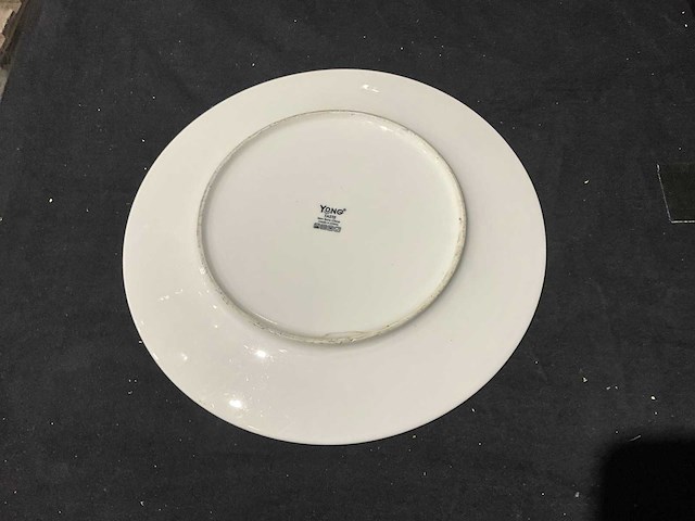 Yong taste plat bord (53x) - afbeelding 3 van  6