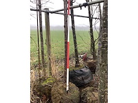 Yoshino kers - sierbomen - afbeelding 3 van  3