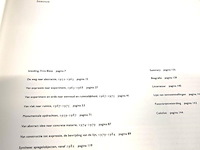 Yvonne kracht. intuïtie ratio - afbeelding 3 van  5