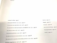 Yvonne kracht. intuïtie ratio - afbeelding 3 van  5