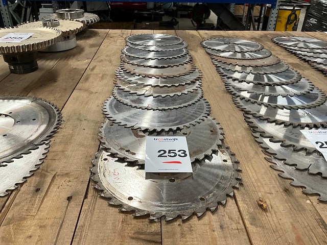 Zaagblad (12x) - afbeelding 1 van  4