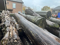 Zaagstammen zagerij - nederlandse herkomst - eiken balken en boomstammen (46x) - afbeelding 5 van  10