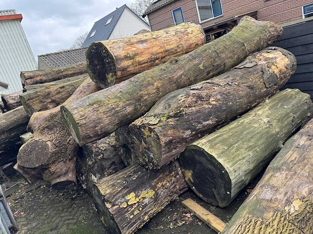 Zaagstammen zagerij - nederlandse herkomst - eiken balken en boomstammen (46x) - afbeelding 3 van  10