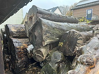 Zaagstammen zagerij - nederlandse herkomst - eiken balken en boomstammen (46x) - afbeelding 6 van  10