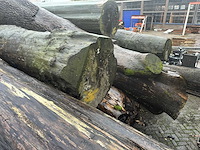 Zaagstammen zagerij - nederlandse herkomst - eiken balken en boomstammen (46x) - afbeelding 7 van  10