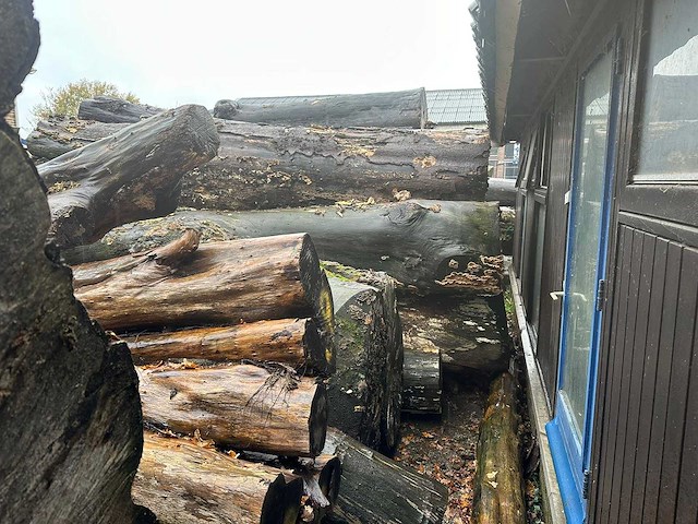 Zaagstammen zagerij - nederlandse herkomst - eiken balken en boomstammen (46x) - afbeelding 8 van  10