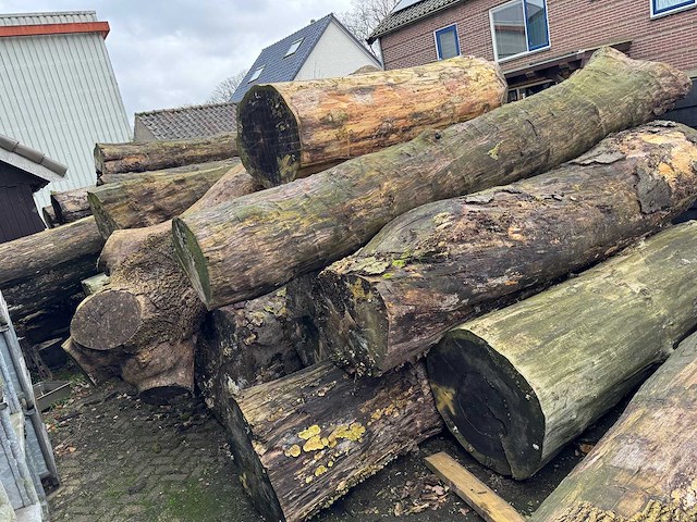 Zaagstammen zagerij - nederlandse herkomst - eiken balken en boomstammen (46x) - afbeelding 9 van  10