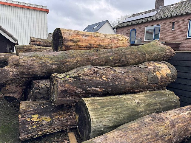 Zaagstammen zagerij - nederlandse herkomst - eiken balken en boomstammen (46x) - afbeelding 10 van  10