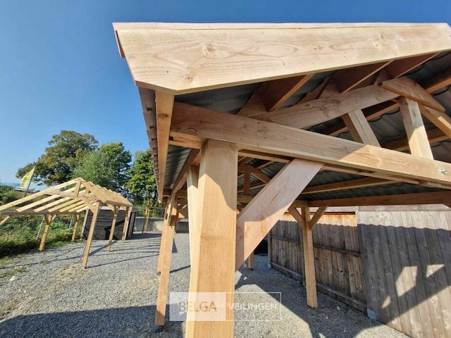 Zadeldak douglas 1220x400x325cm bxdxh in cm - afbeelding 7 van  9