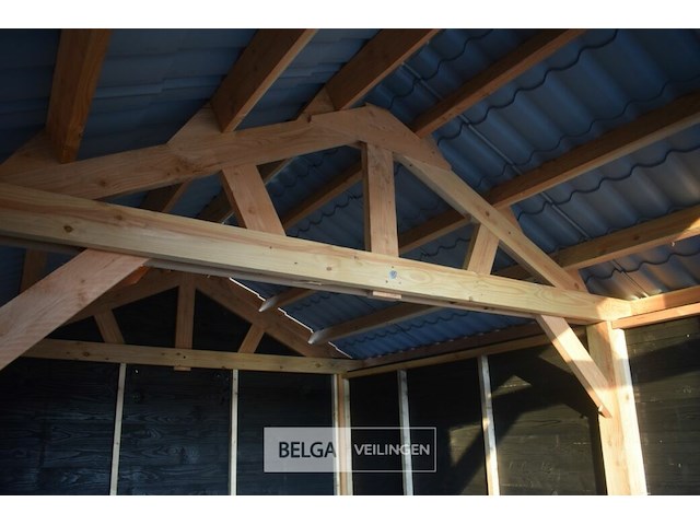 Zadeldak douglas 1220x400x325cm bxdxh in cm - afbeelding 7 van  7