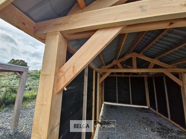 Zadeldak douglas 660x400x325cm bxdxh in cm - afbeelding 4 van  7