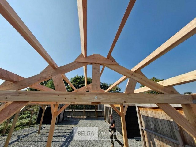 Zadeldak douglas, afm 1220x400x325cm bxdxh in cm - afbeelding 5 van  6