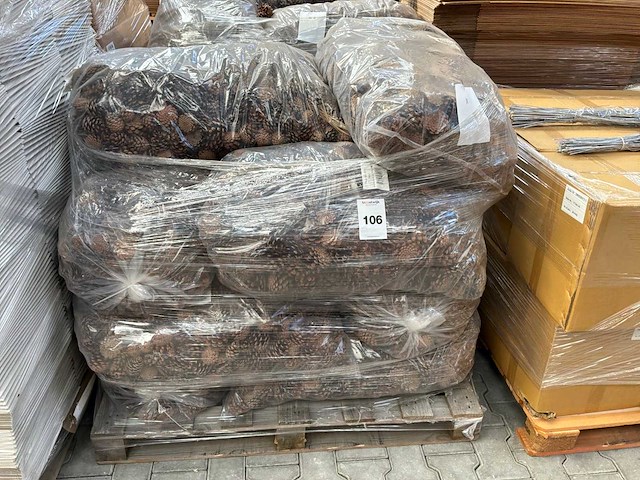 Zak dennenappels (11x) - afbeelding 1 van  1