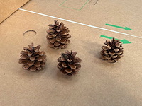 Zak dennenappels (12x) - afbeelding 1 van  5