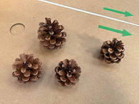 Zak dennenappels (12x) - afbeelding 2 van  5