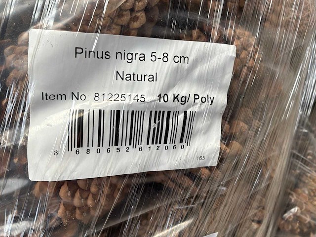 Zak dennenappels (12x) - afbeelding 4 van  5