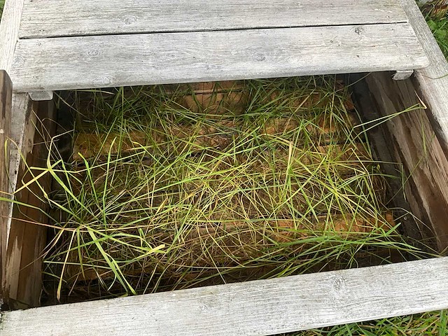 Zandbak - afbeelding 7 van  10