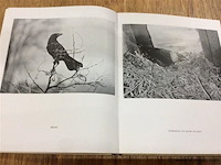 Zangvogels te laken - afbeelding 4 van  4
