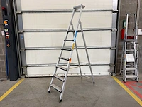 Zarges z600 trap ladder