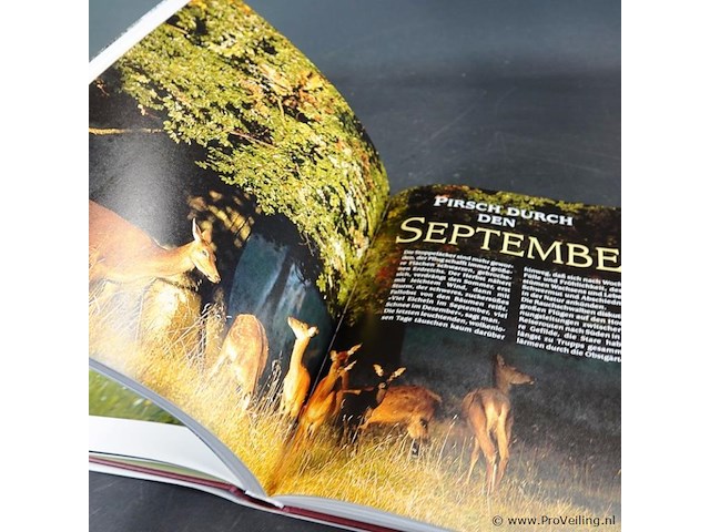 Zauber der wildbahn - afbeelding 4 van  5